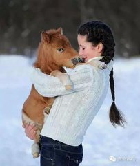 什么宠物最可爱又好养,你见过什么小宠物