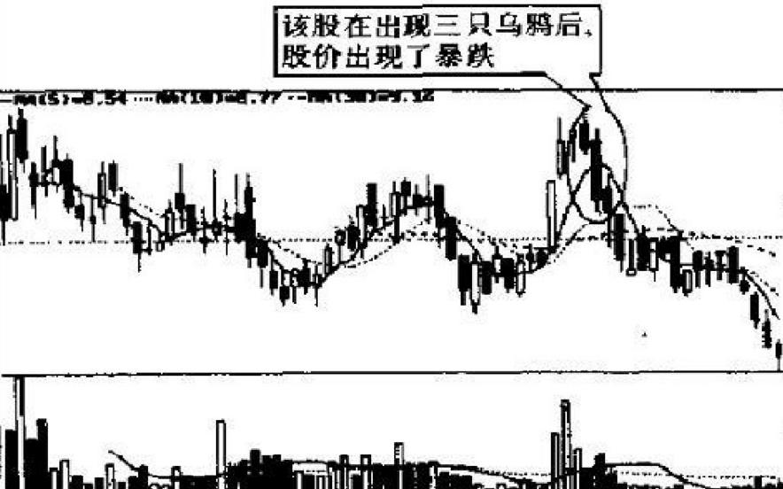 每天学点股票基本知识,股市操练大全第一册免费阅读