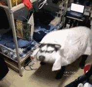 怀念大学宿舍的日常,怀念校园生活宿舍视频