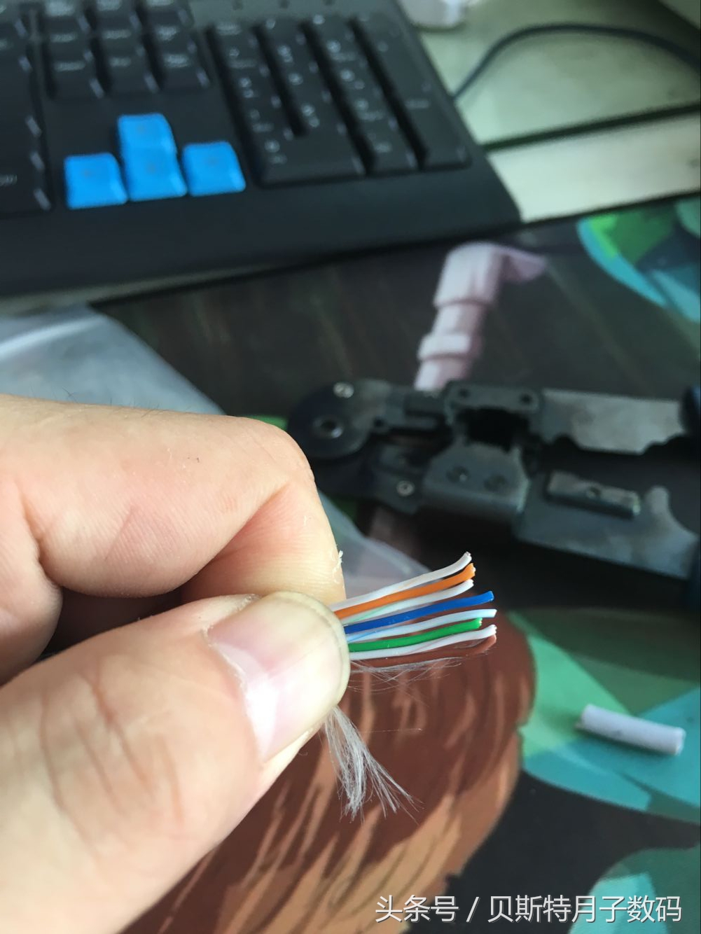 哎哟喂小编今天做网线