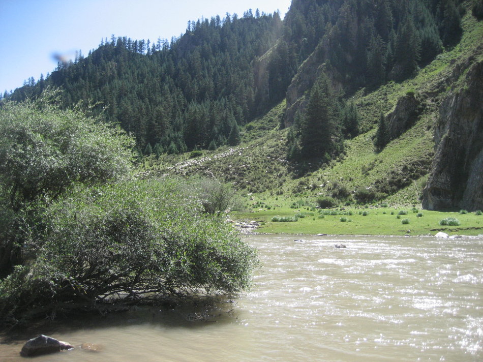 世界第一大马场有多少匹马,世界最大的军马场