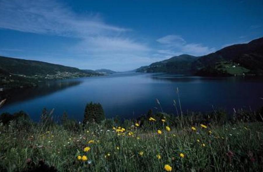 手上的活可以建立佛国,手可以引荐你见佛