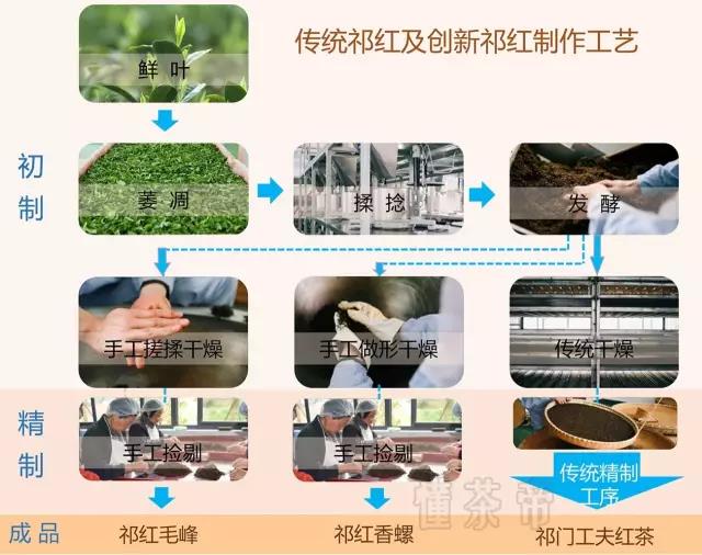 分不清三种祁红，别说你懂她！