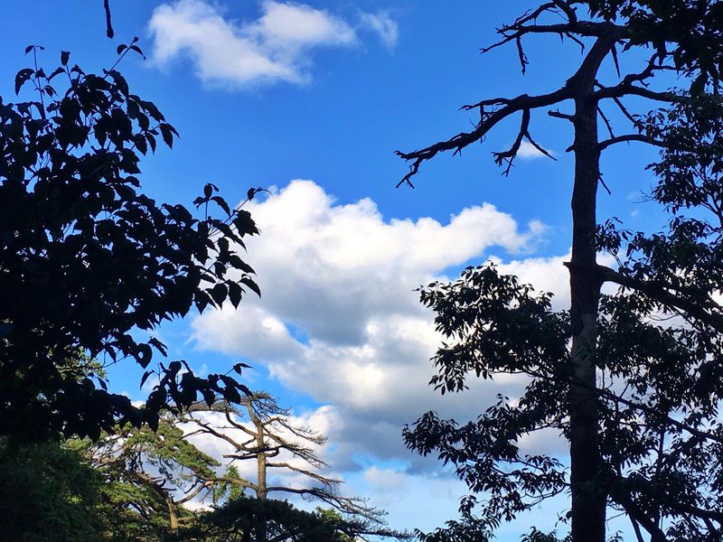 一场说走就走暑假旅行,一场说走就走的旅行来了