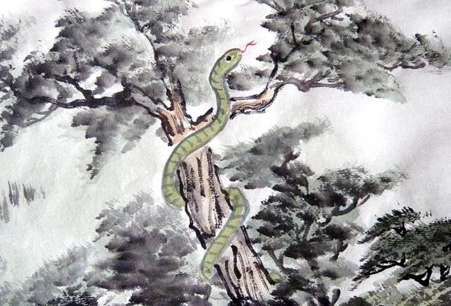 2022年生肖蛇的财星,2017年生肖蛇情感运势