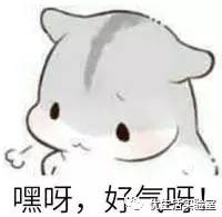 黑色记号笔能抹掉快递上的信息吗,快递信息擦除神器