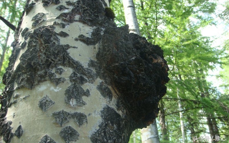 这个奇葩，从土豪变笑柄，最后成为了科学家