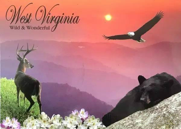 美国美景明信片,关于各个国家风景的明信片