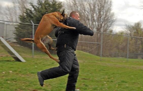 最近运气很好之后运气会不会很差,最近运气有点好
