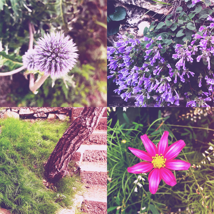 京津冀冰雪运动体验季,京津冀冰雪运动休闲体验石家庄