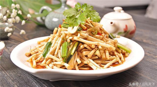 大地给予我们的馈赠,大地馈赠了野菜