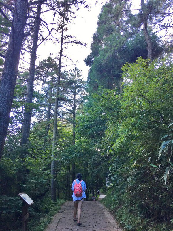 一场说走就走暑假旅行,一场说走就走的旅行来了