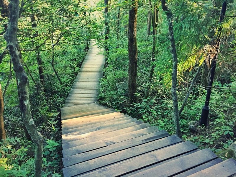 一场说走就走暑假旅行,一场说走就走的旅行来了