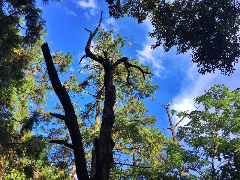 一场说走就走暑假旅行,一场说走就走的旅行来了