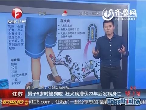 中国每年死于狂犬病至少2000例，咬伤后不在意，病毒可潜伏几十年