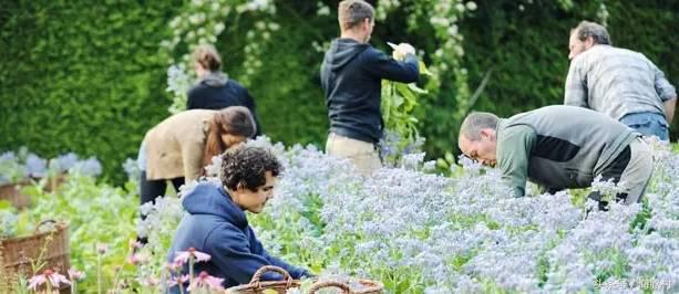 德国有机护肤品有哪些品牌,德国德系护肤品