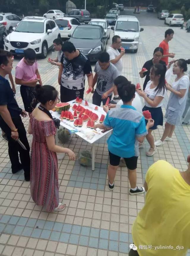 雨琳科技的程序猿们造作了!