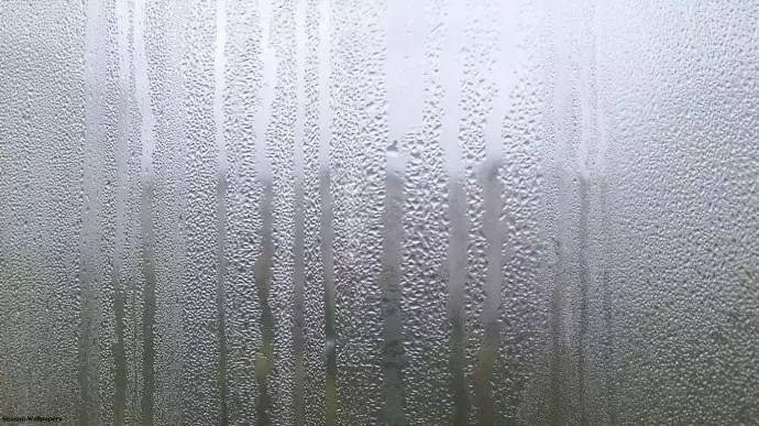 这个月用过的口红有点发霉,一年左右的口红发霉