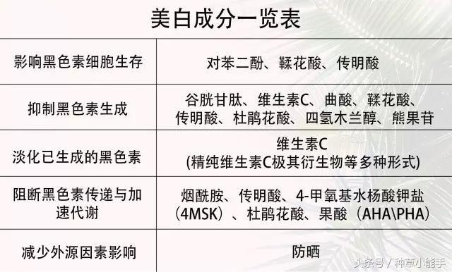 推荐4款大牌美白精华,平价美白淡斑精华