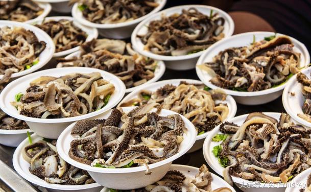 最值得去的美食城市,最新发布美食攻略100个必去的地方