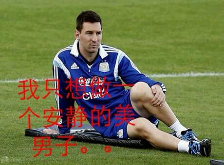 足坛表情包王大雷,足坛表情包贴纸