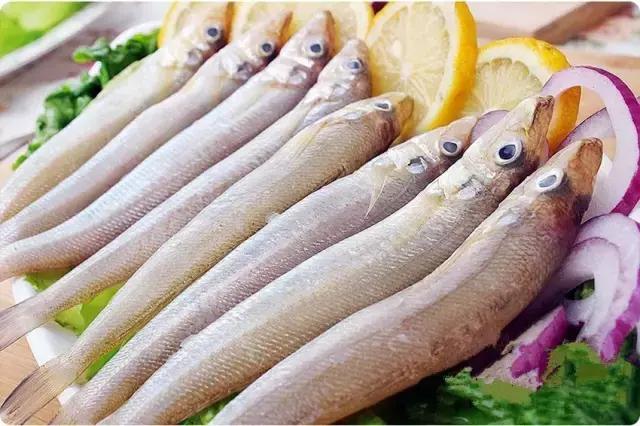 一啸渔乐,常见平尾海鱼有哪些