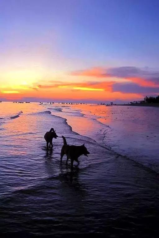 面朝大海春暖花开涠洲岛之旅,海景圣地涠洲岛