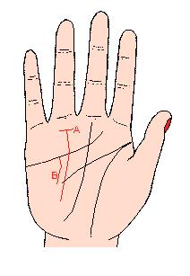 来,贫道帮你解析太阳线在手相中的重要作用,很多人不知道太阳线对我们运势的影响力