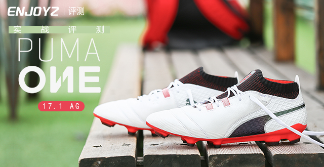 pumaone17.3tf璇勬祴,pumaone18.1
