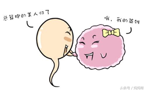 分享一些备孕总结和经验，希望对备孕中的姐妹们有帮助！