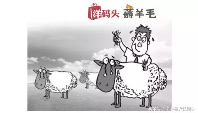 最新海外购消息,海外交易平台骗局