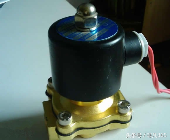 夏天植物不记得浇水了怎么办,如何制作植物自动浇水器