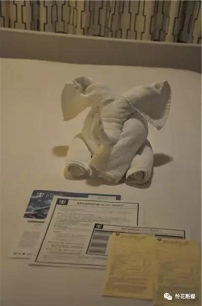 暑假如何玩转邮轮,暑假怎么玩儿