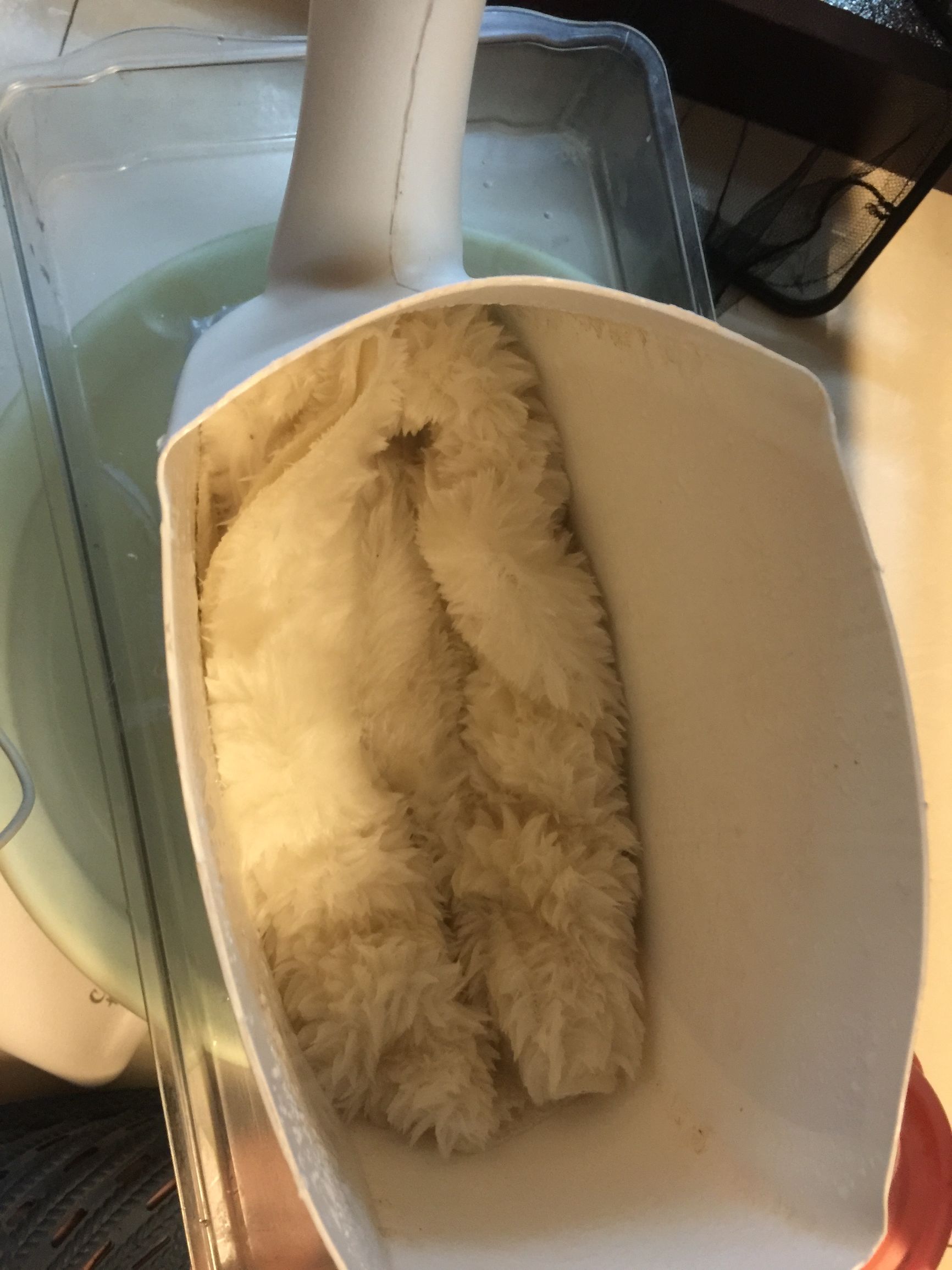 鱼缸diy用什么石头,鱼缸diy制作30元