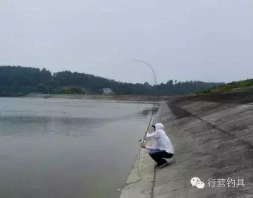 半价活动快来抢购,半价狂欢活动来袭