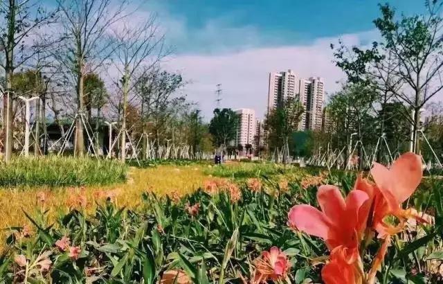 珠海夏日清凉避暑胜地,珠海凉爽的地方