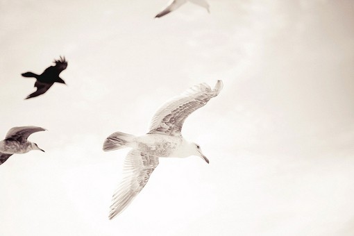 深度分析你为什么赚不到钱,你为啥赚不到钱揭秘4个真相