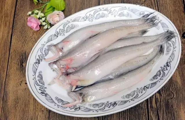 一啸渔乐,常见平尾海鱼有哪些