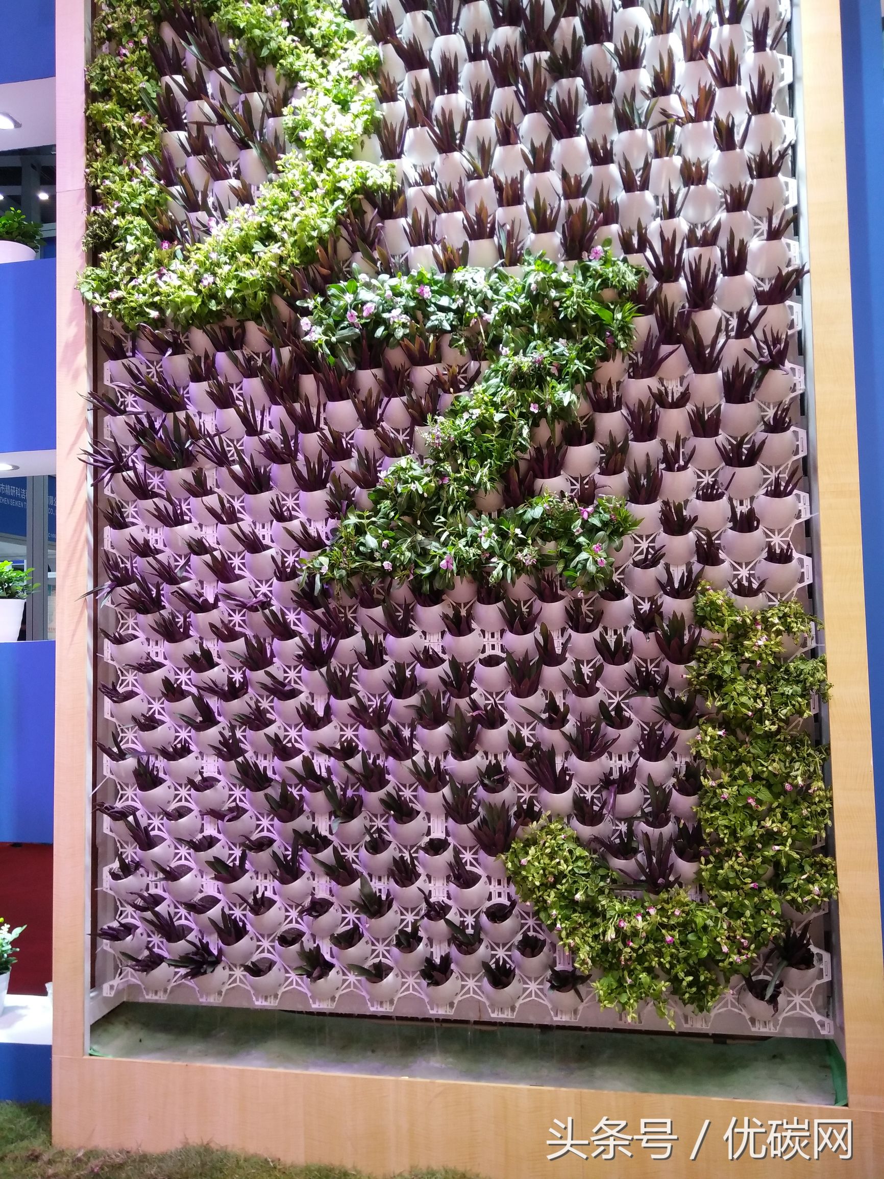 低碳环保产业博览会,深圳国际低碳城碳博会