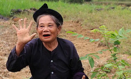 越南有哪些有趣的事,你不知道的越南趣事