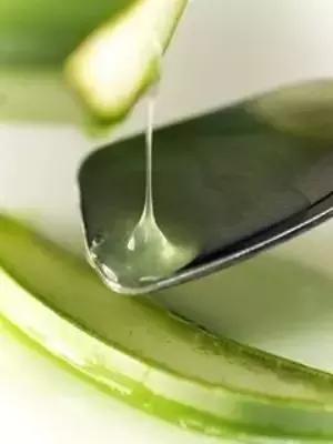 如何在家自制芦荟面膜,生活小妙招用芦荟胶做面膜