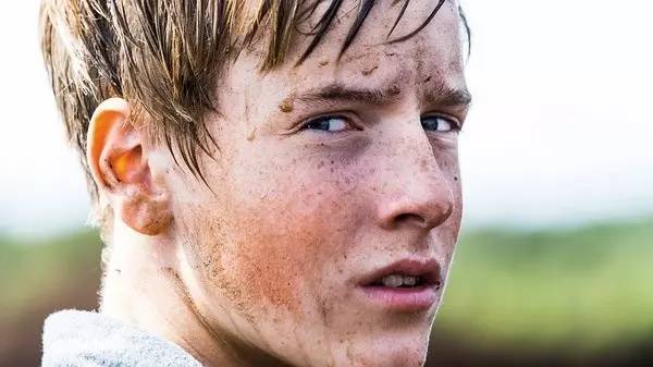 降暑必备,降暑必备清单