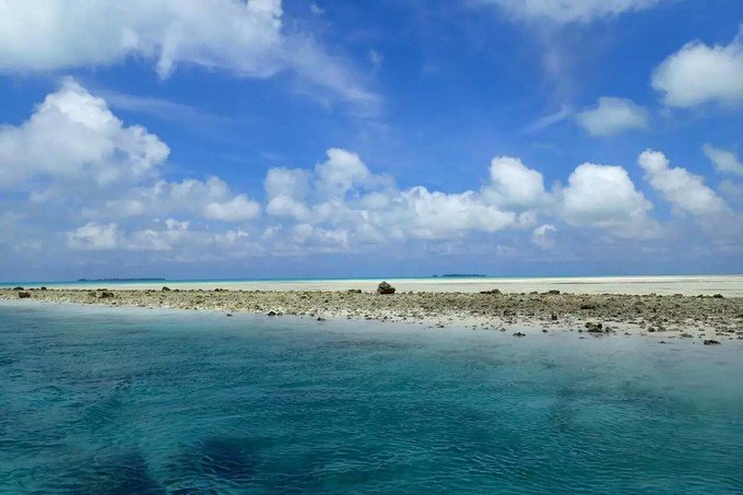 看鲨鱼，玩泥巴，看男人穿婚纱，带你看不一样的帕劳