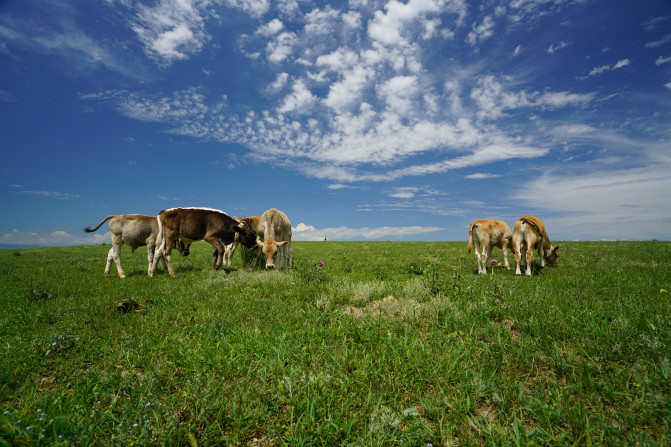 感受大西北的异域风情环疆游结束,南北疆深度游北疆进入南疆