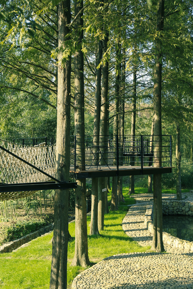 宜兴周边避暑地方,宜兴开车避暑攻略