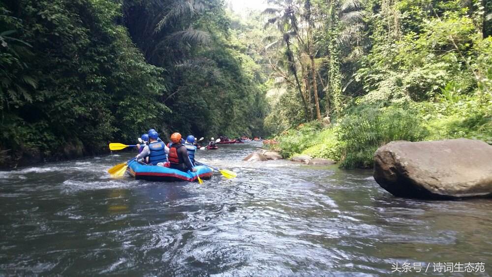 巴厘印象一日游,巴厘风情旅游攻略
