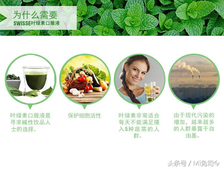 除了不好喝，其他都很棒——Swisse叶绿素液