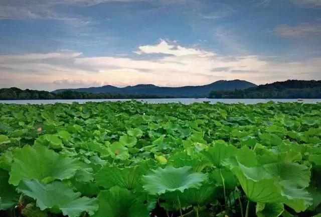 12月机票提前多少天订最便宜,每个星期哪天订机票最便宜