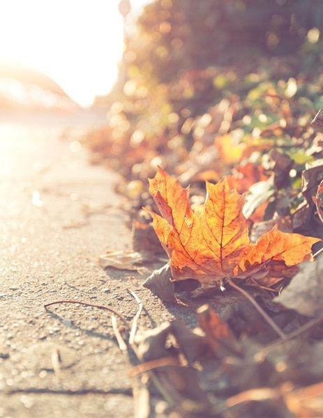 男人的G盘里存点*片A**、小视频之类的东西都不算什么大事