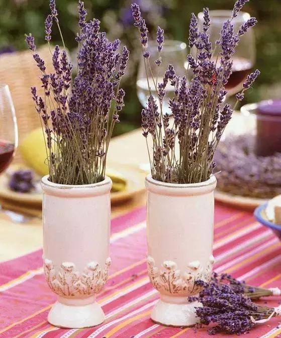 娈嬫灊璐ュ彾鎻掕姳,娈嬫灊璐ヨ姳